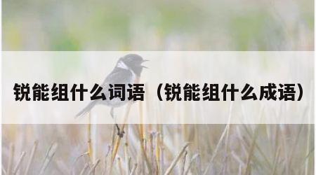 锐能组什么词语（锐能组什么成语）