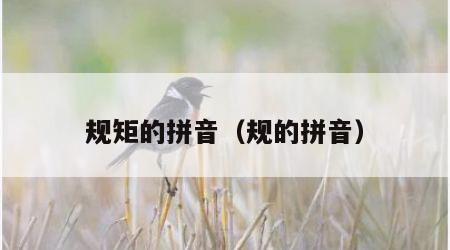 规矩的拼音（规的拼音）