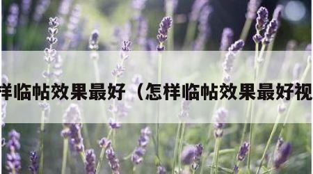 怎样临帖效果最好（怎样临帖效果最好视频）