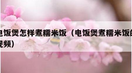 用电饭煲怎样煮糯米饭（电饭煲煮糯米饭的窍门视频）