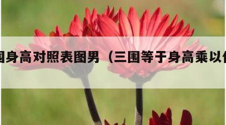 三围身高对照表图男（三围等于身高乘以什么）