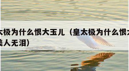 皇太极为什么恨大玉儿（皇太极为什么恨大玉儿美人无泪）