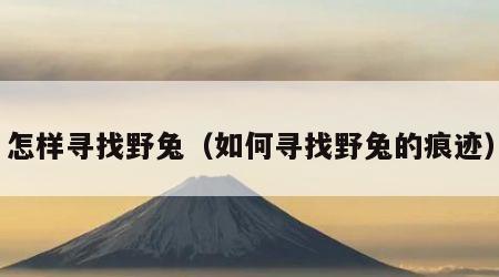 怎样寻找野兔（如何寻找野兔的痕迹）