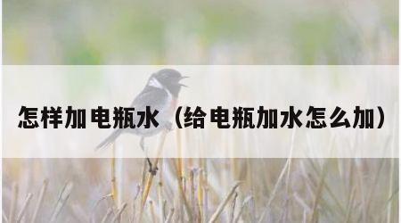 怎样加电瓶水（给电瓶加水怎么加）