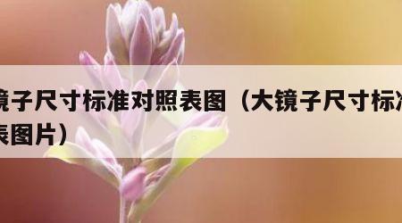 大镜子尺寸标准对照表图（大镜子尺寸标准对照表图片）