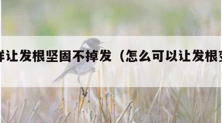 怎样让发根坚固不掉发（怎么可以让发根变粗）