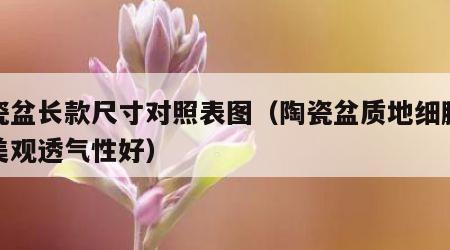 陶瓷盆长款尺寸对照表图（陶瓷盆质地细腻外形美观透气性好）