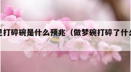 梦见打碎碗是什么预兆（做梦碗打碎了什么预兆）