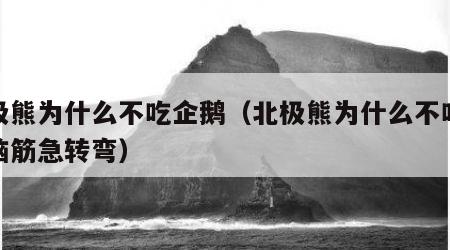 北极熊为什么不吃企鹅（北极熊为什么不吃企鹅脑筋急转弯）