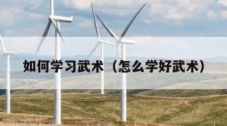 如何学习武术（怎么学好武术）