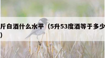 一斤白酒什么水平（5升53度酒等于多少斤酒）