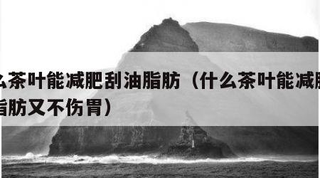什么茶叶能减肥刮油脂肪（什么茶叶能减肥刮油脂肪又不伤胃）