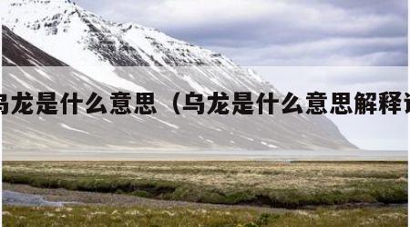 大乌龙是什么意思（乌龙是什么意思解释词语）