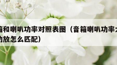 音箱和喇叭功率对照表图（音箱喇叭功率大小与功放怎么匹配）