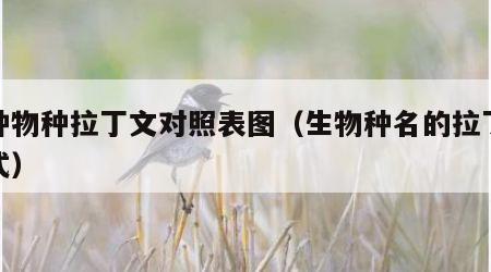 各种物种拉丁文对照表图（生物种名的拉丁文格式）