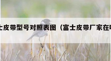 富士皮带型号对照表图（富士皮带厂家在哪里）