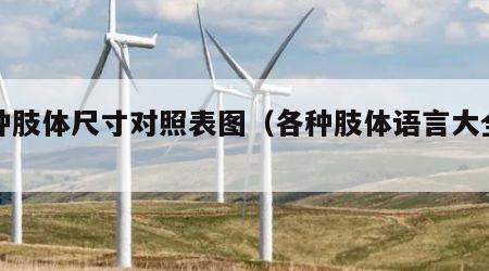 各种肢体尺寸对照表图（各种肢体语言大全图）