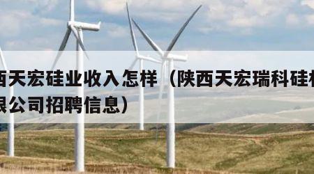 陕西天宏硅业收入怎样（陕西天宏瑞科硅材料有限公司招聘信息）