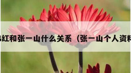 韩红和张一山什么关系（张一山个人资料）