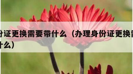身份证更换需要带什么（办理身份证更换需要带什么）