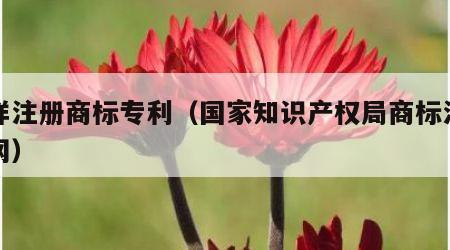 怎样注册商标专利（国家知识产权局商标注册官网）