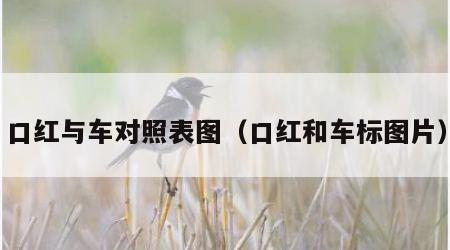 口红与车对照表图（口红和车标图片）
