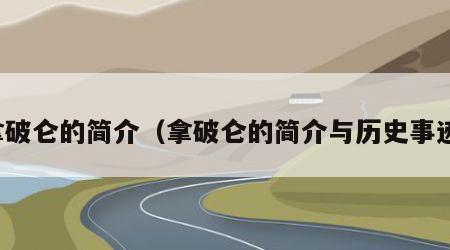 拿破仑的简介（拿破仑的简介与历史事迹）