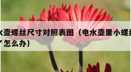 电水壶螺丝尺寸对照表图（电水壶里小螺丝生锈了怎么办）