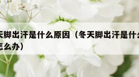 冬天脚出汗是什么原因（冬天脚出汗是什么原因怎么办）