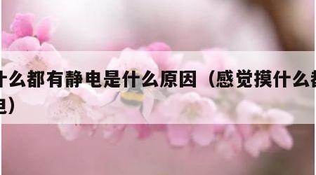 摸什么都有静电是什么原因（感觉摸什么都有静电）