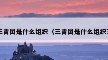 三青团是什么组织（三青团是什么组织?）