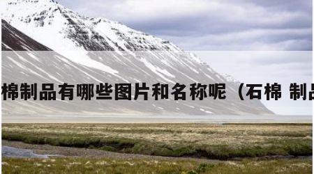 石棉制品有哪些图片和名称呢（石棉 制品）
