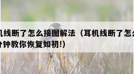 耳机线断了怎么接图解法（耳机线断了怎么办,2分钟教你恢复如初!）