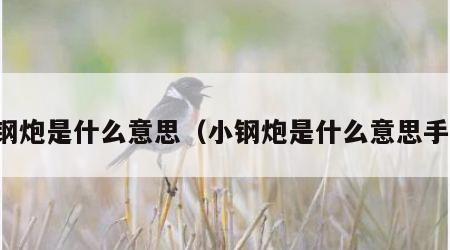 小钢炮是什么意思（小钢炮是什么意思手机）