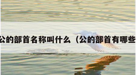 公的部首名称叫什么（公的部首有哪些）