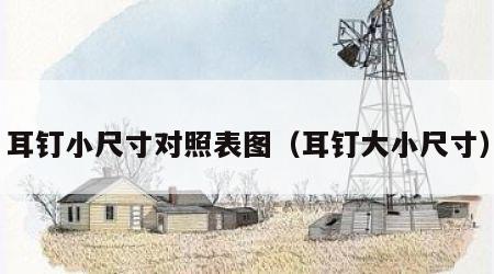 耳钉小尺寸对照表图（耳钉大小尺寸）