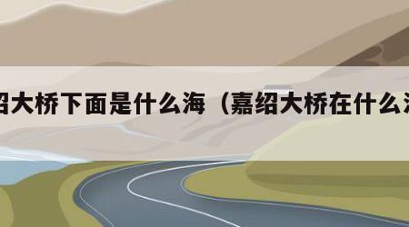 嘉绍大桥下面是什么海（嘉绍大桥在什么江上）