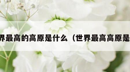 世界最高的高原是什么（世界最高高原是哪）