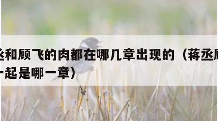 蒋丞和顾飞的肉都在哪几章出现的（蒋丞顾飞在一起是哪一章）