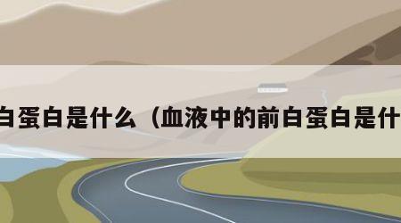前白蛋白是什么（血液中的前白蛋白是什么）