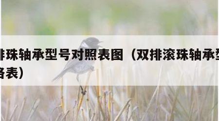 双排珠轴承型号对照表图（双排滚珠轴承型号规格表）