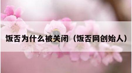 饭否为什么被关闭（饭否网创始人）