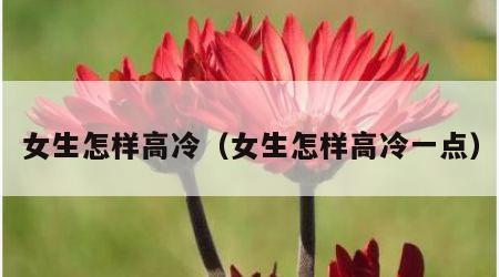 女生怎样高冷（女生怎样高冷一点）