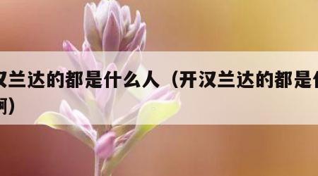 开汉兰达的都是什么人（开汉兰达的都是什么人啊）