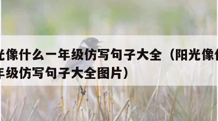 阳光像什么一年级仿写句子大全（阳光像什么一年级仿写句子大全图片）