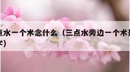 三点水一个术念什么（三点水旁边一个术是什么字）