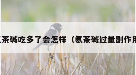 氨茶碱吃多了会怎样（氨茶碱过量副作用）