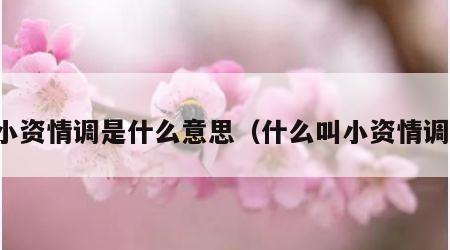 小资情调是什么意思（什么叫小资情调）