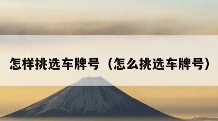 怎样挑选车牌号（怎么挑选车牌号）