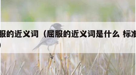 屈服的近义词（屈服的近义词是什么 标准答案）
